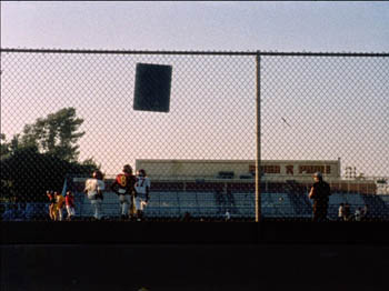 field.jpg